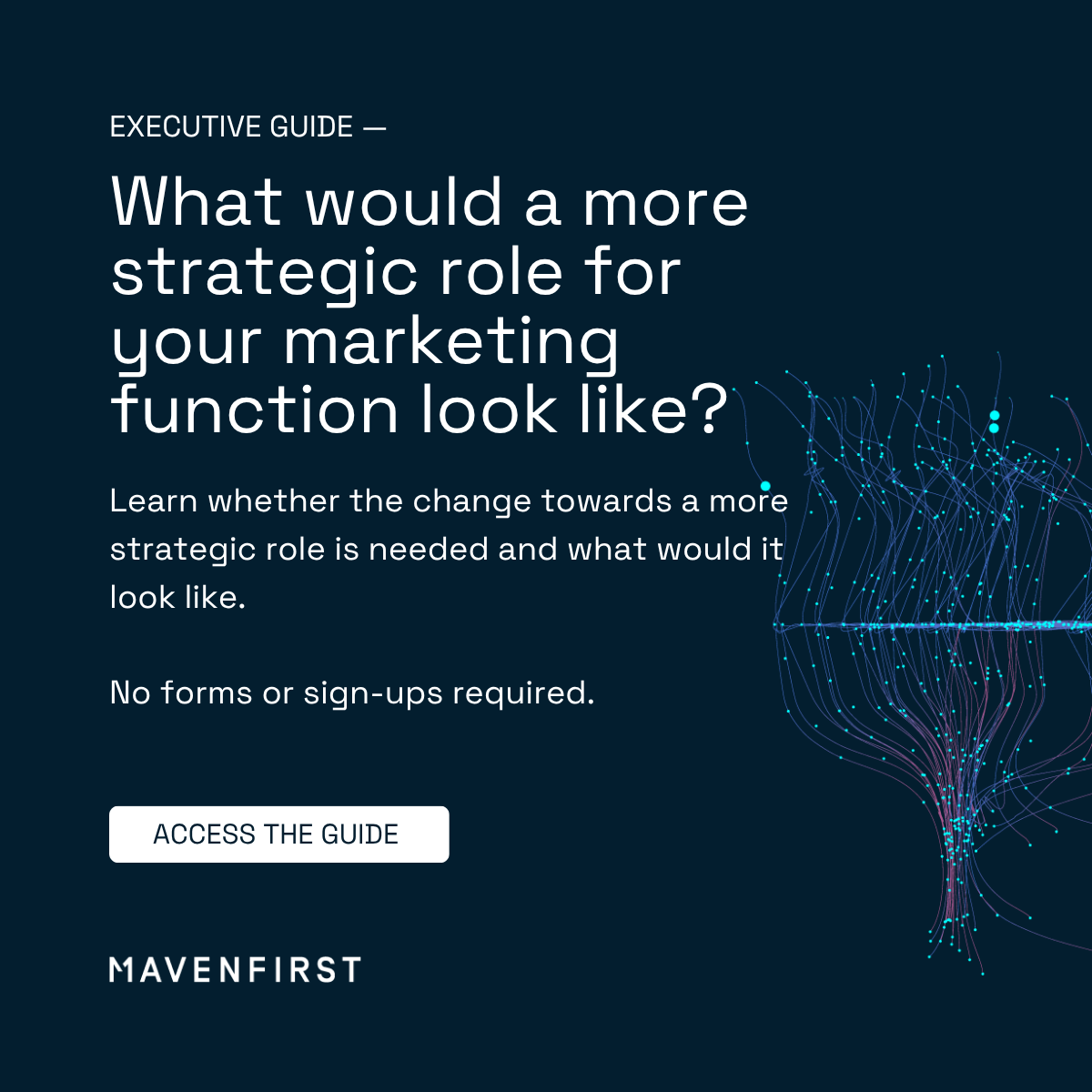 Executive Guide More strategic role